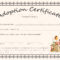 Certificate Templates: Doll Adoption Certificate Design With Regard To Adoption Certificate Template