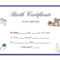 Certificates: Breathtaking Birth Certificate Template With Regard To Birth Certificate Fake Template