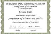 Certificates. Cool Promotion Certificate Template Example with regard to Promotion Certificate Template