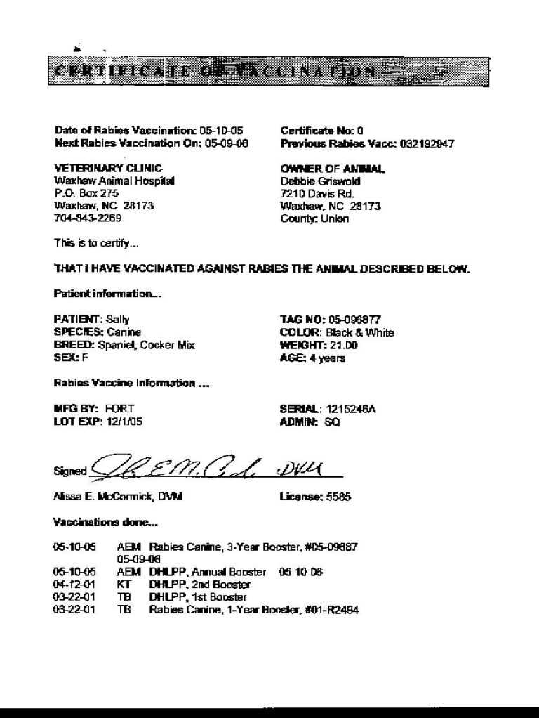 Rabies Vaccine Certificate Template
