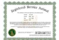 Certificates. Terrific Service Dog Certificate Template for Service Dog Certificate Template
