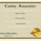 Certificates. Terrific Service Dog Certificate Template Intended For Service Dog Certificate Template
