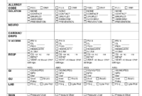 Charge Nurse Report Sheet Sample | Nursing Documents | Nurse within Charge Nurse Report Sheet Template