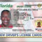 Check Out Florida's New Driver's Licenses And Id Cards Within Florida Id Card Template