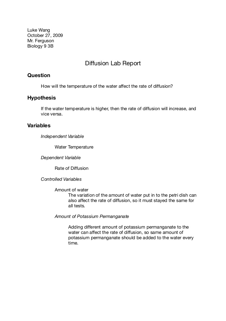 Chemistry Lab Report Outline – Great College Essay For Ib Lab Report Template