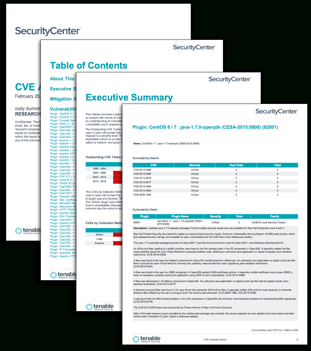 Cve Analysis Report – Sc Report Template | Tenable® Intended For Information Security Report Template