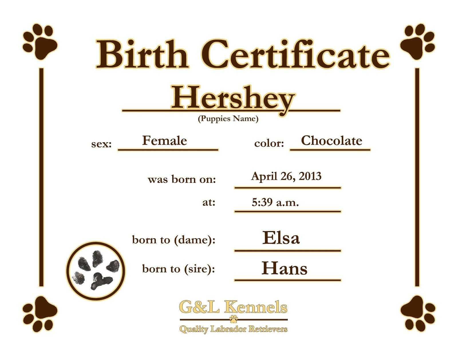 Dog Birth Certificate Template Puppy Birth Certificates Regarding Birth Certificate Templates For Word