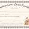 Doll Adoption Certificate Template For Blank Adoption Certificate Template