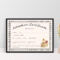 Doll Adoption Certificate Template With Adoption Certificate Template