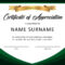 Download Certificate Of Appreciation For Donation 02 With Gratitude Certificate Template