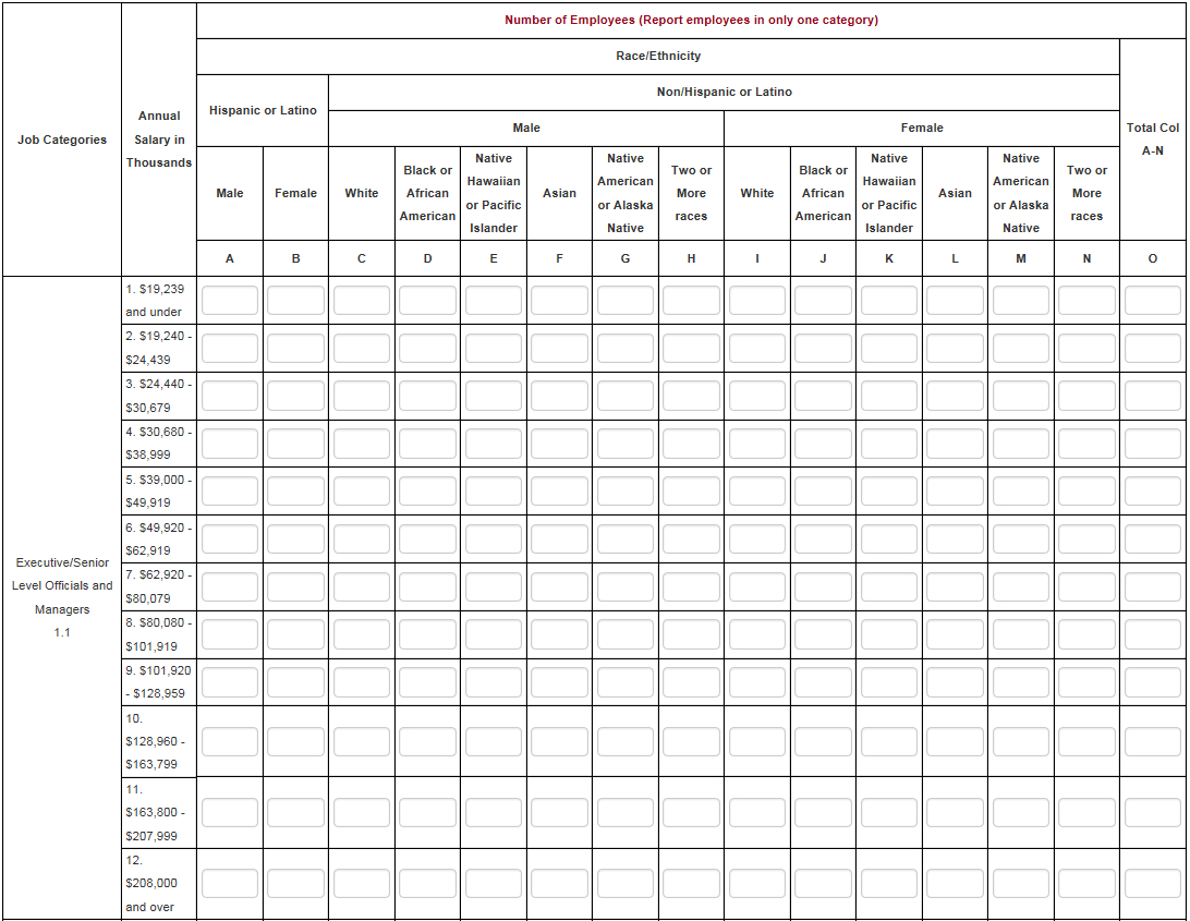 Eeo 1 Report Template – Atlantaauctionco With Regard To Eeo 1 Report Template