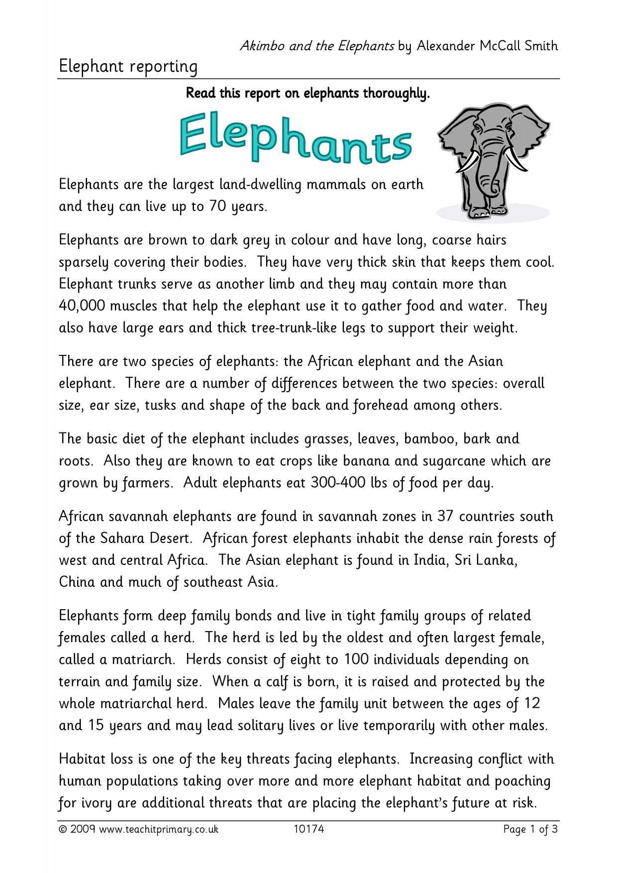 Elephant Report Writing Throughout Report Writing Template Ks1
