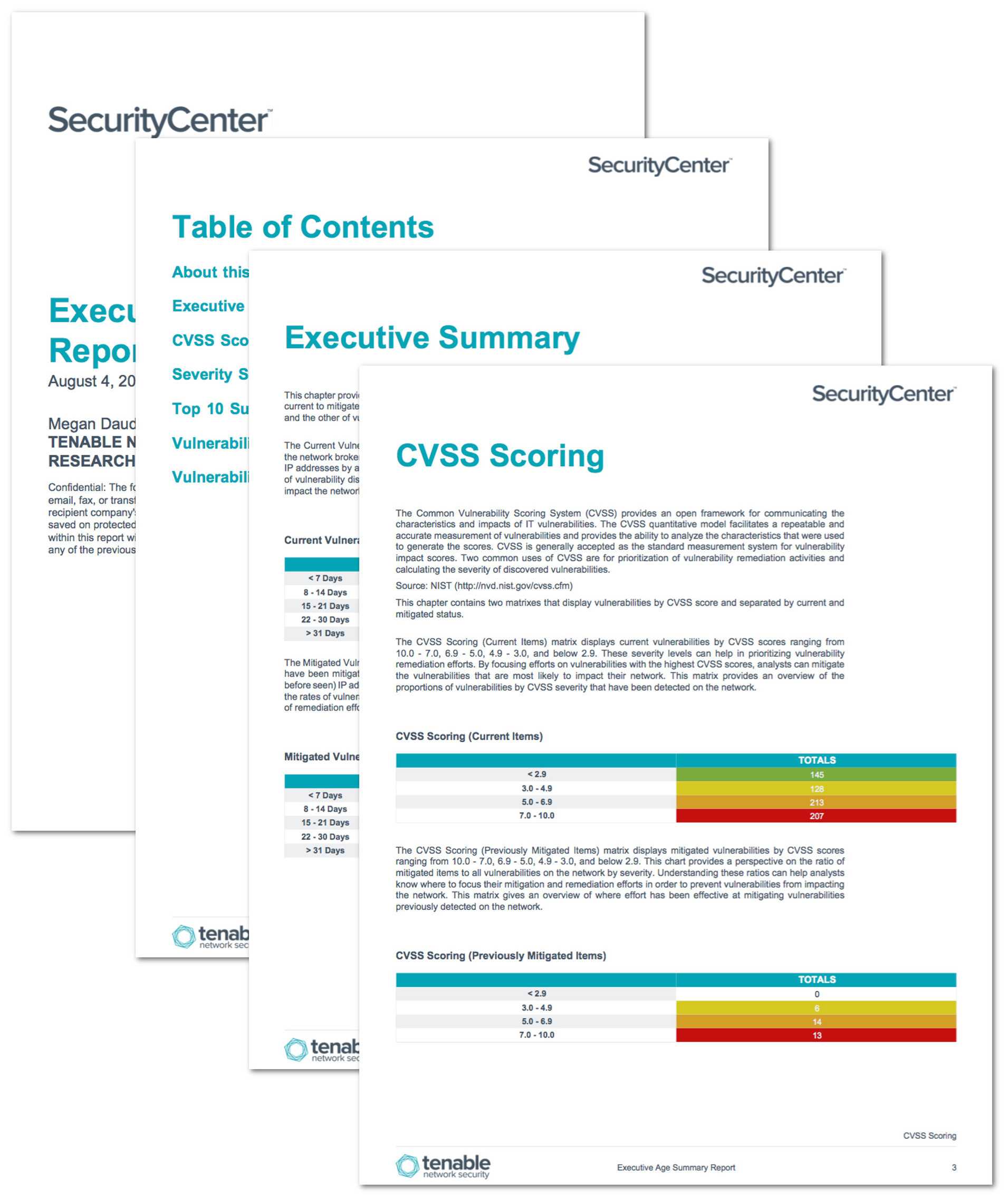 Executive Age Summary Report – Sc Report Template | Tenable® With Regard To Executive Summary Report Template