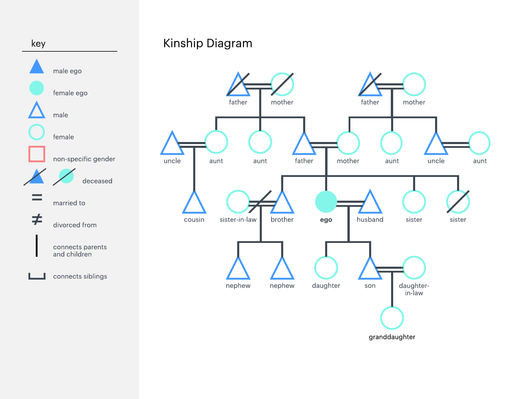 Family Tree Diagram – Getting Started Of Wiring Diagram Intended For Blank Tree Diagram Template