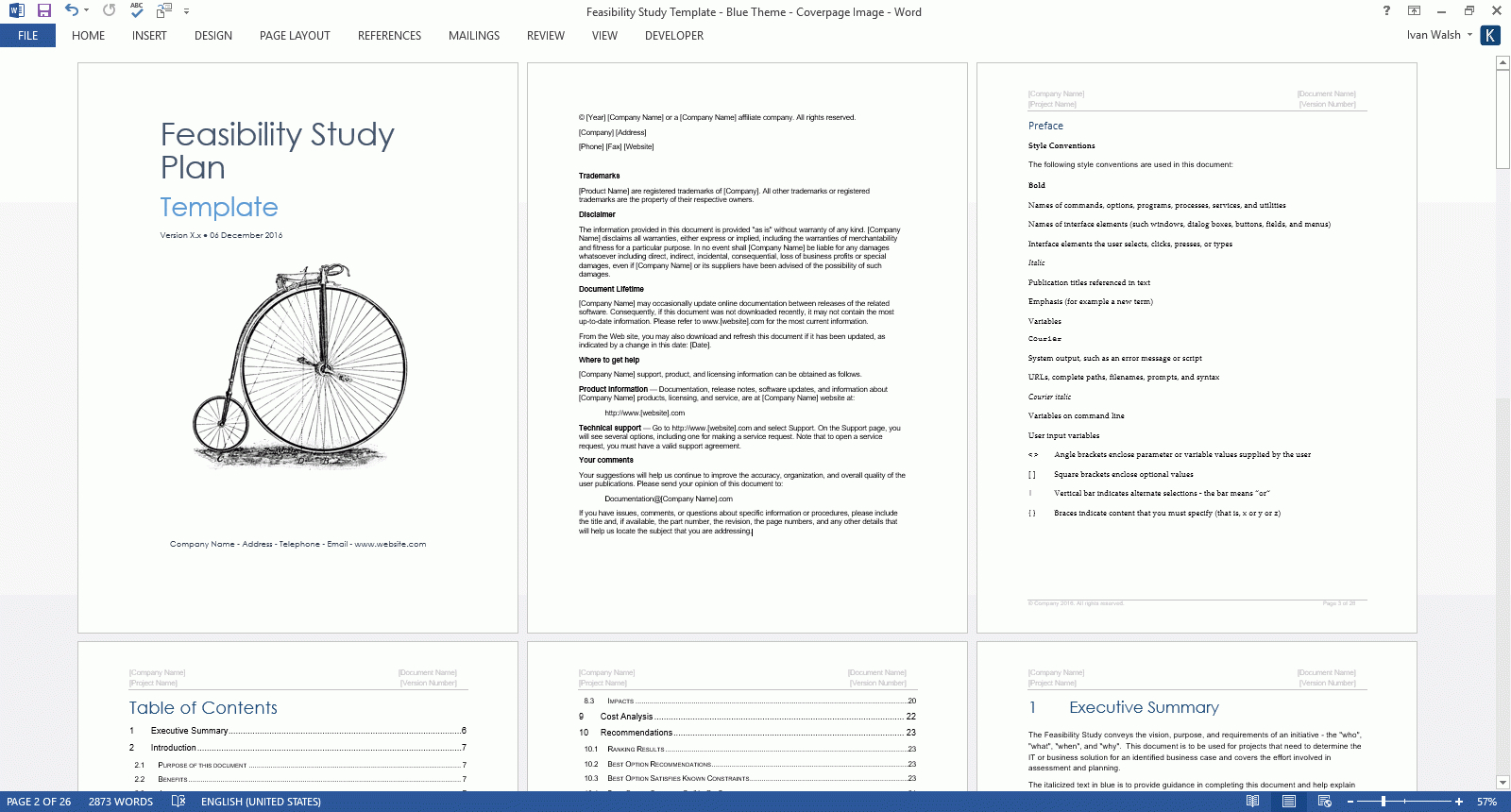 Feasibility Study Templates (Ms Word) – Templates, Forms For Technical Feasibility Report Template