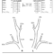 Figure 12 From Joint Recommendations For Reporting Carotid Intended For Carotid Ultrasound Report Template