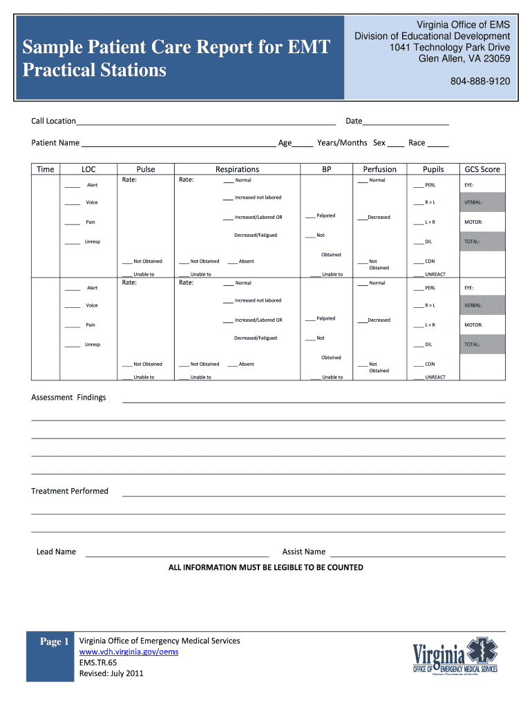 Fillable Online Vdh Virginia Sample Patient Care Report For In Patient Care Report Template