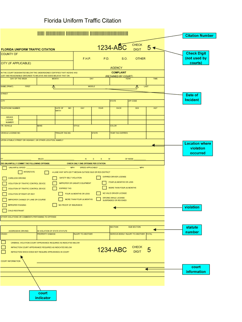 Fillable Traffic Citations – Fill Online, Printable Throughout Blank Speeding Ticket Template