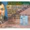 Florida Driver's License Fake Id Virtual Pertaining To Florida Id Card Template