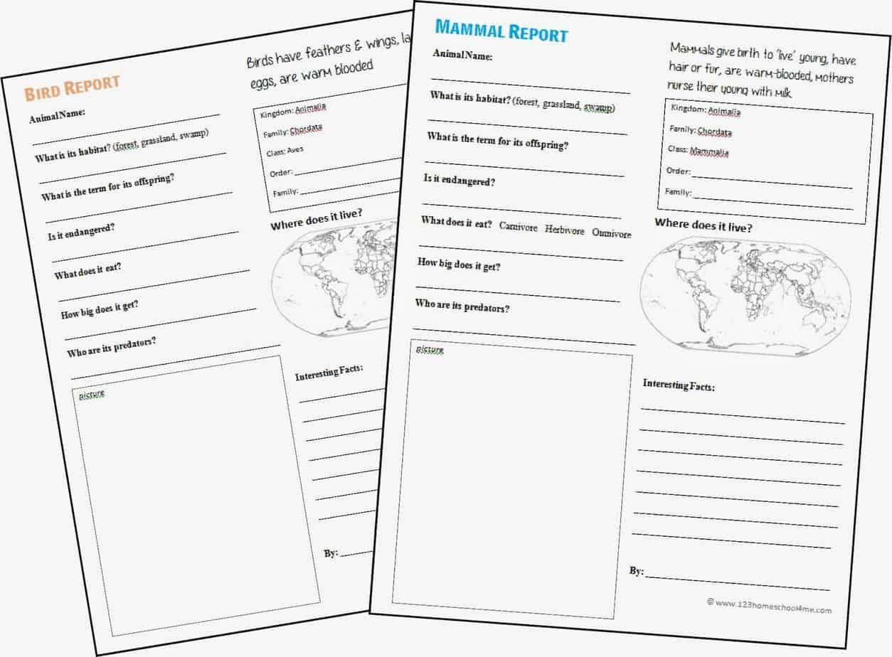 Free Animal Report Form Printable | 123 Homeschool 4 Me Within Animal Report Template