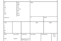 Free Download! This Nursejanx Store Download Fits One with Nursing Report Sheet Template