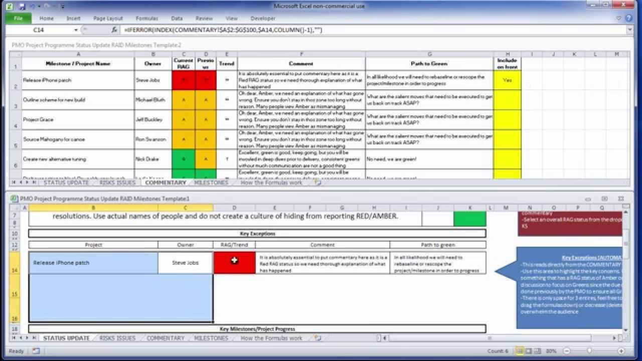 Free Pmo Excel Template With Regard To Project Status Report Template Word 2010