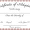 Free Printable Adoption Certificate | Mult Igry Regarding Blank Adoption Certificate Template