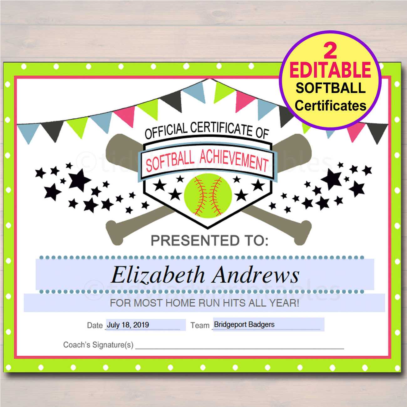 Free Softball Award Certificate Templates Pertaining To Free Softball Certificate Templates