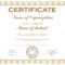 General Purpose Certificate Or Award With Sample Text That Can.. Throughout Template For Certificate Of Award