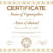 General Purpose Certificate Or Award With Sample Text That Can.. Within Academic Award Certificate Template
