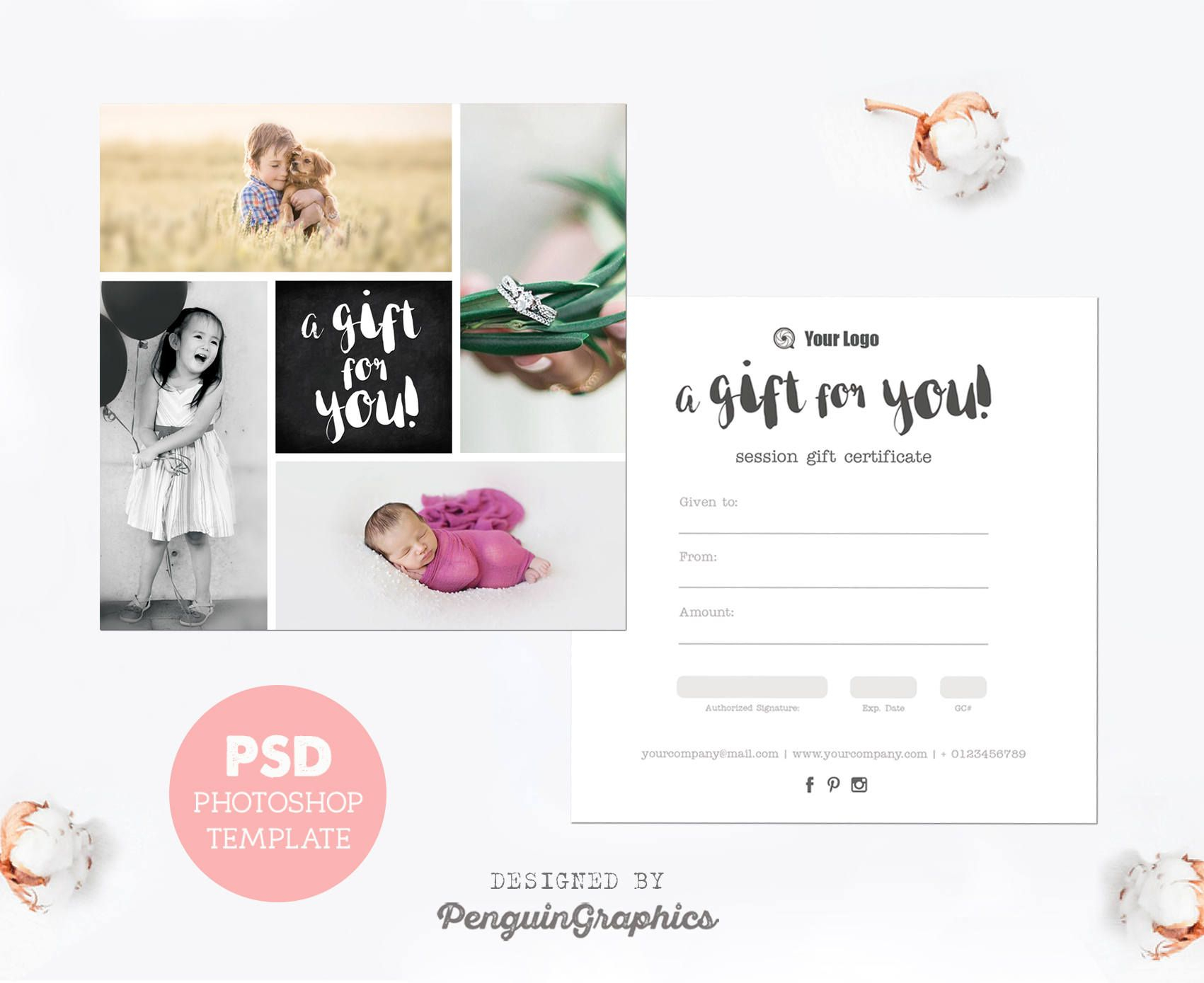 Gift Certificate Template. Photography Mini Session Gift Within Free Photography Gift Certificate Template