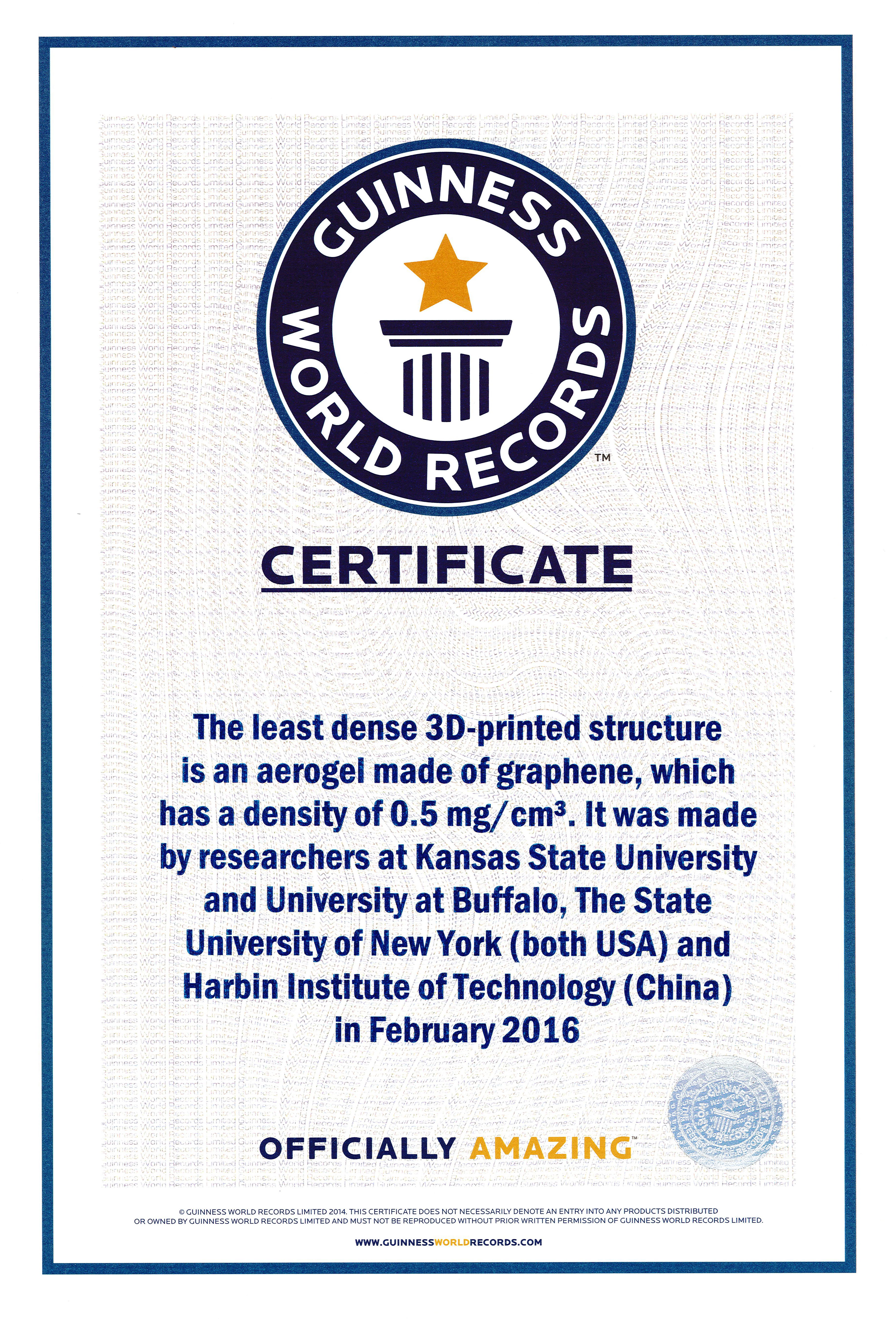 Guinness World Record Certificate Template - Corto Pertaining To Guinness World Record Certificate Template