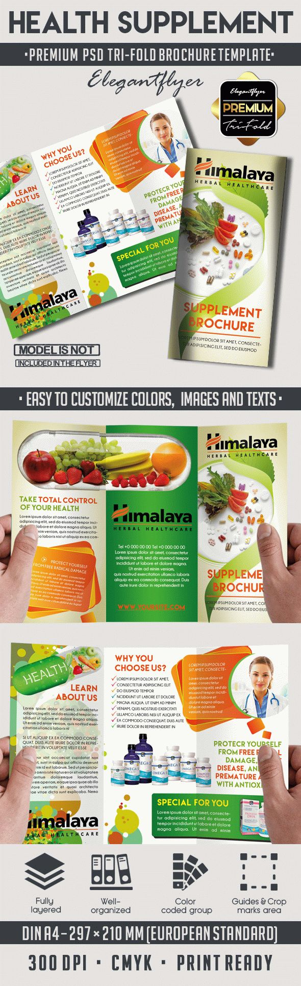 Health Supplement Brochure Pertaining To Nutrition Brochure Template