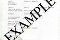 Home Birth Certificate Template Inspirational How To Travel with regard to South African Birth Certificate Template