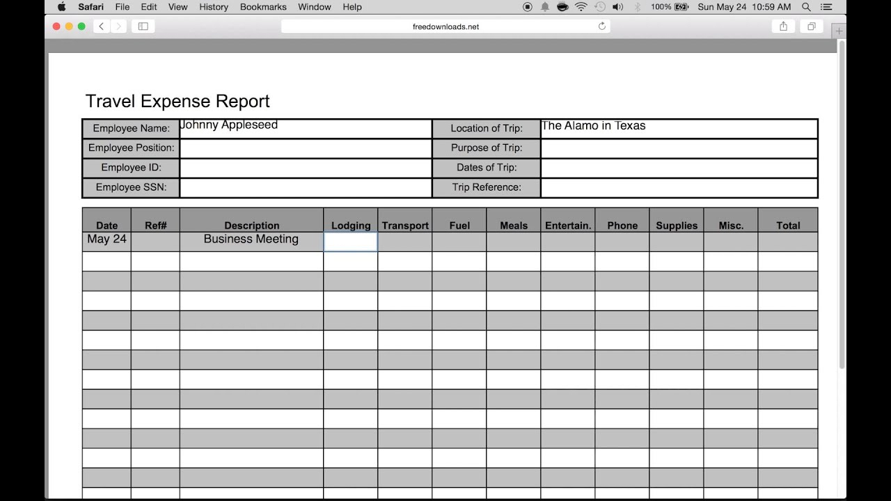 How To Fill In A Free Travel Expense Report | Pdf | Excel Throughout Expense Report Template Excel 2010