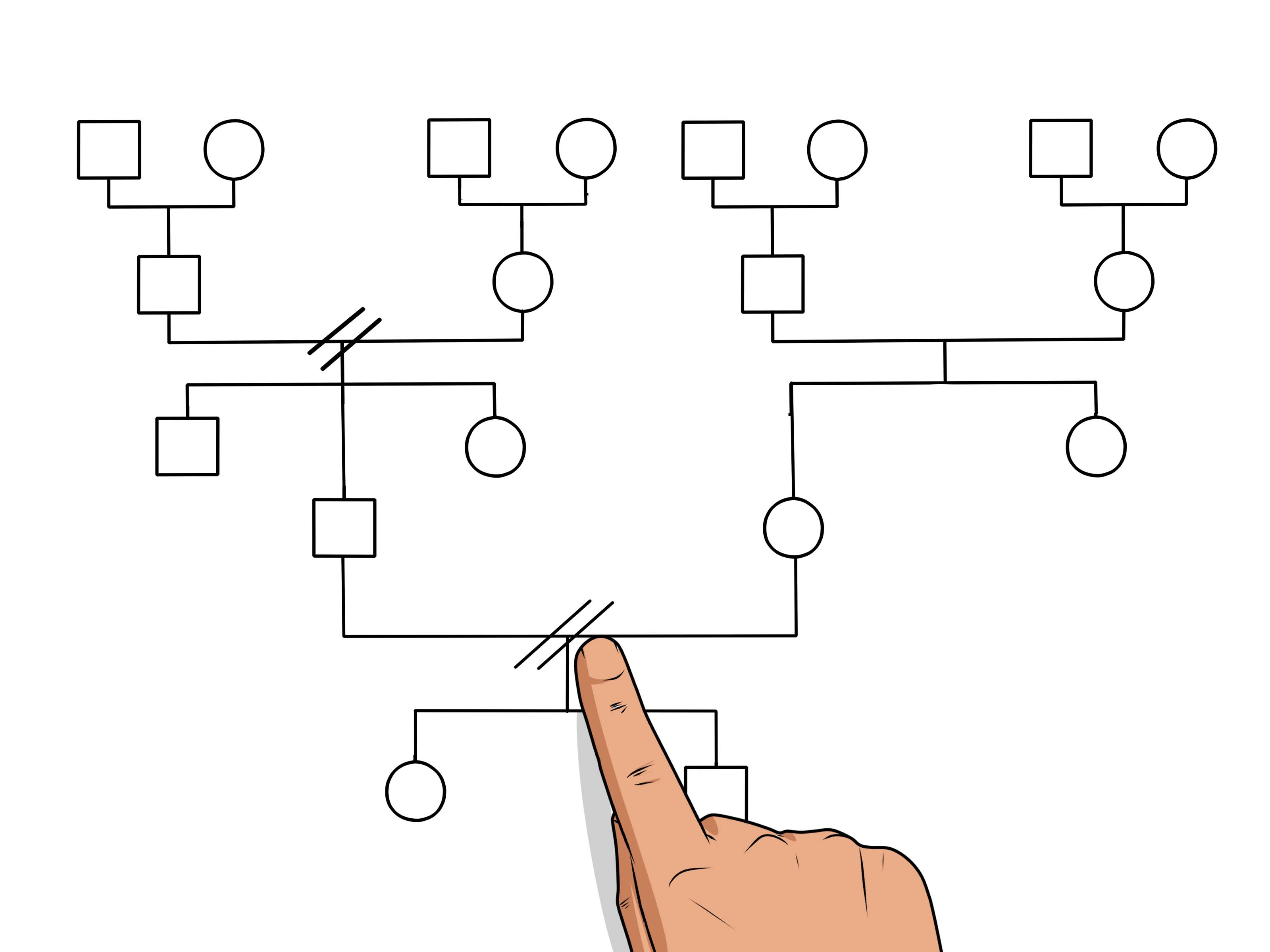 How To Make A Genogram: 14 Steps (With Pictures) – Wikihow With Regard To Genogram Template For Word