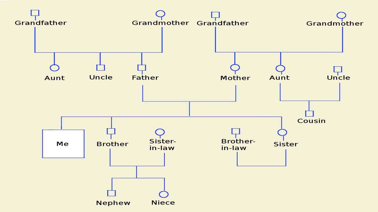 How To Make A Genogram Using Microsoft Word Regarding Genogram Template For Word