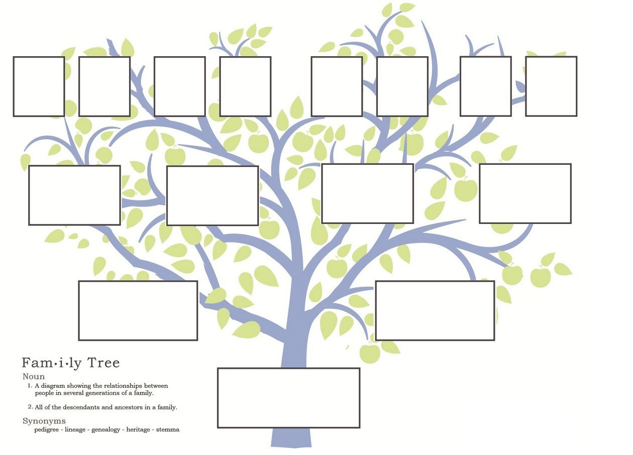 I Used A Picture Of A Family Tree For Chapter 23 Because At Inside Blank Family Tree Template 3 Generations