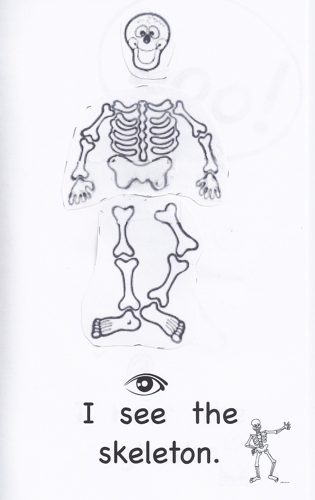 Image : [2] ~ [Google Image Result For 3 Bpspot More Story Inside Skeleton Book Report Template