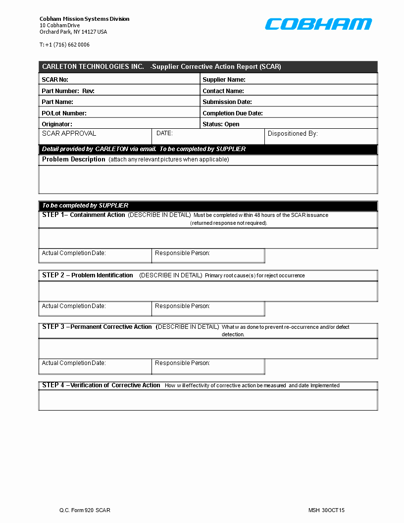 Index Of Cdn8200253 Corrective Ion Form Sample Format Food Within 8D Report Format Template