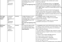 Mi &amp; Reporting – Bcr throughout Mi Report Template