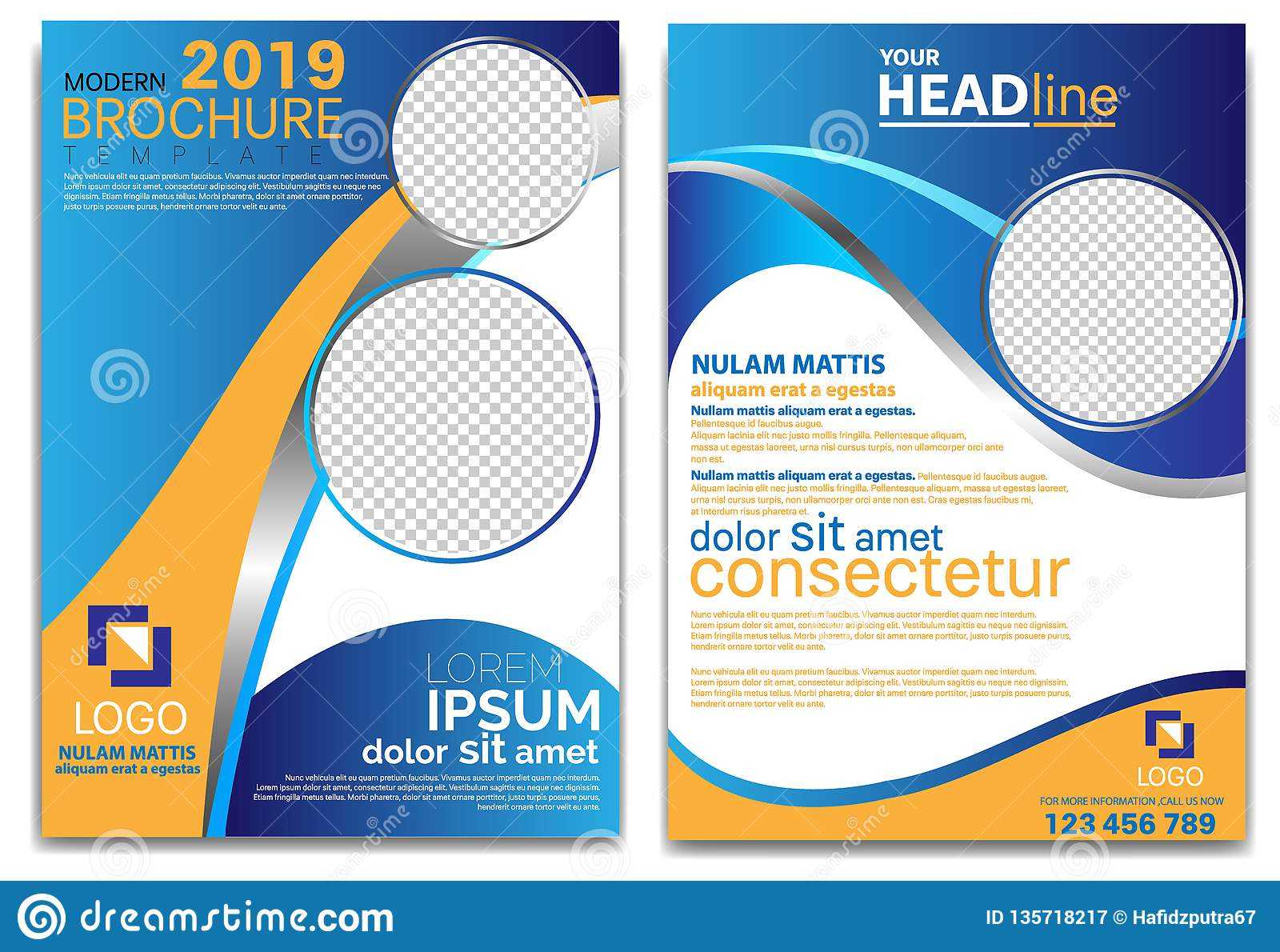 Modern Brochure Template 2019 And Professional Brochure With Regard To Professional Brochure Design Templates