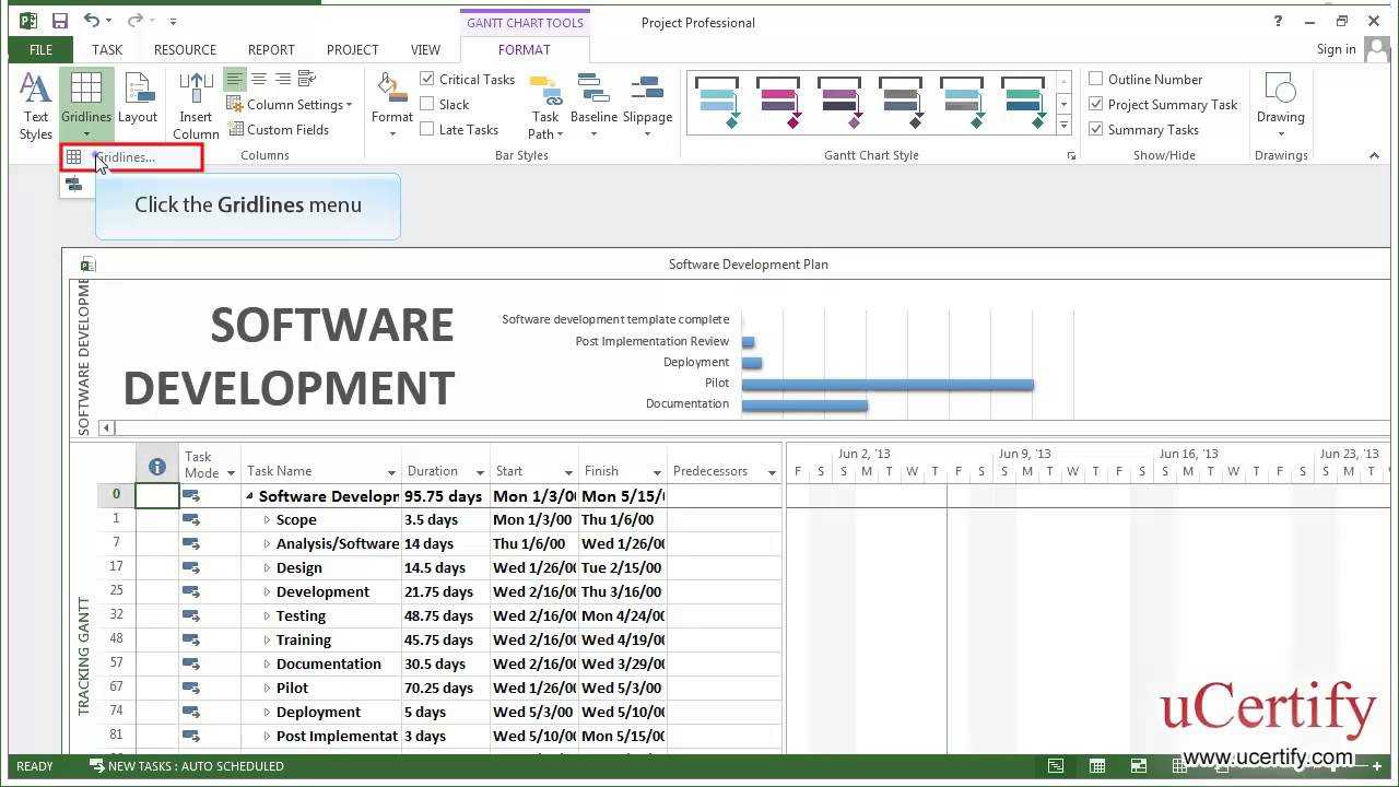 Ms Project 2013 How To Change The Format Of The Current Date Line Demo With Ms Project 2013 Report Templates