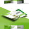 Nature Tri Fold Brochure Template Free Psd | Psdfreebies For 3 Fold Brochure Template Psd Free Download