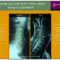 Neck Spinal Decay | Goodhealth Posters | Upper Cervical For Chiropractic X Ray Report Template
