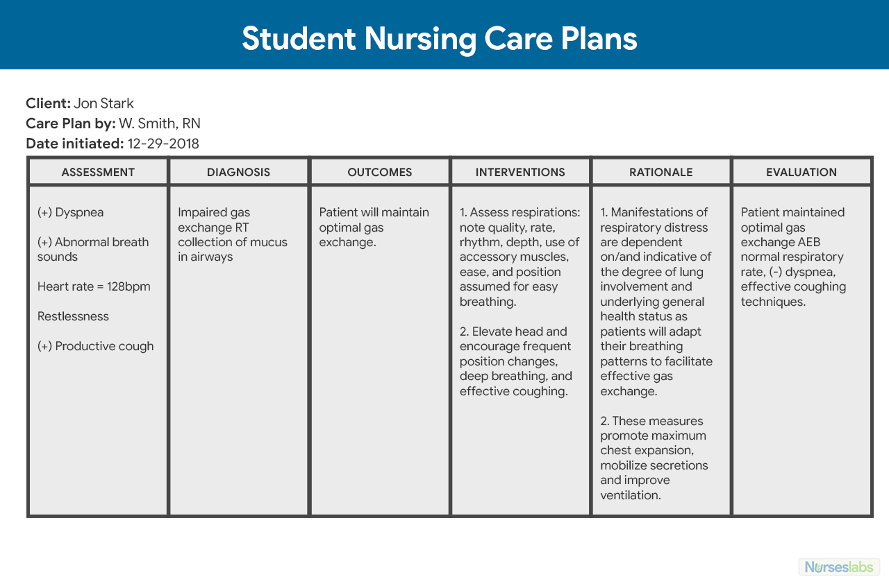 Nursing Care Plan (Ncp): Ultimate Guide And Database Inside Nursing Care Plan Template Word