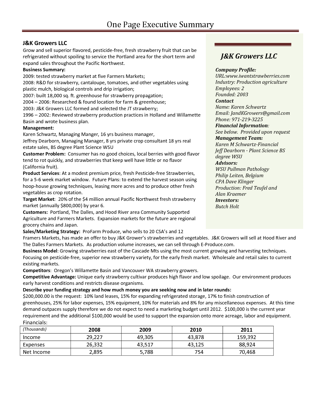 One Page Executive Summary Template In One Page Book Report Template