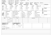 Patient Care Report Template Doc - Fill Online, Printable inside Patient Care Report Template