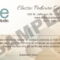 Pedicure Gift Certificate Sample – Elite Salon Spa Studio Intended For Spa Day Gift Certificate Template