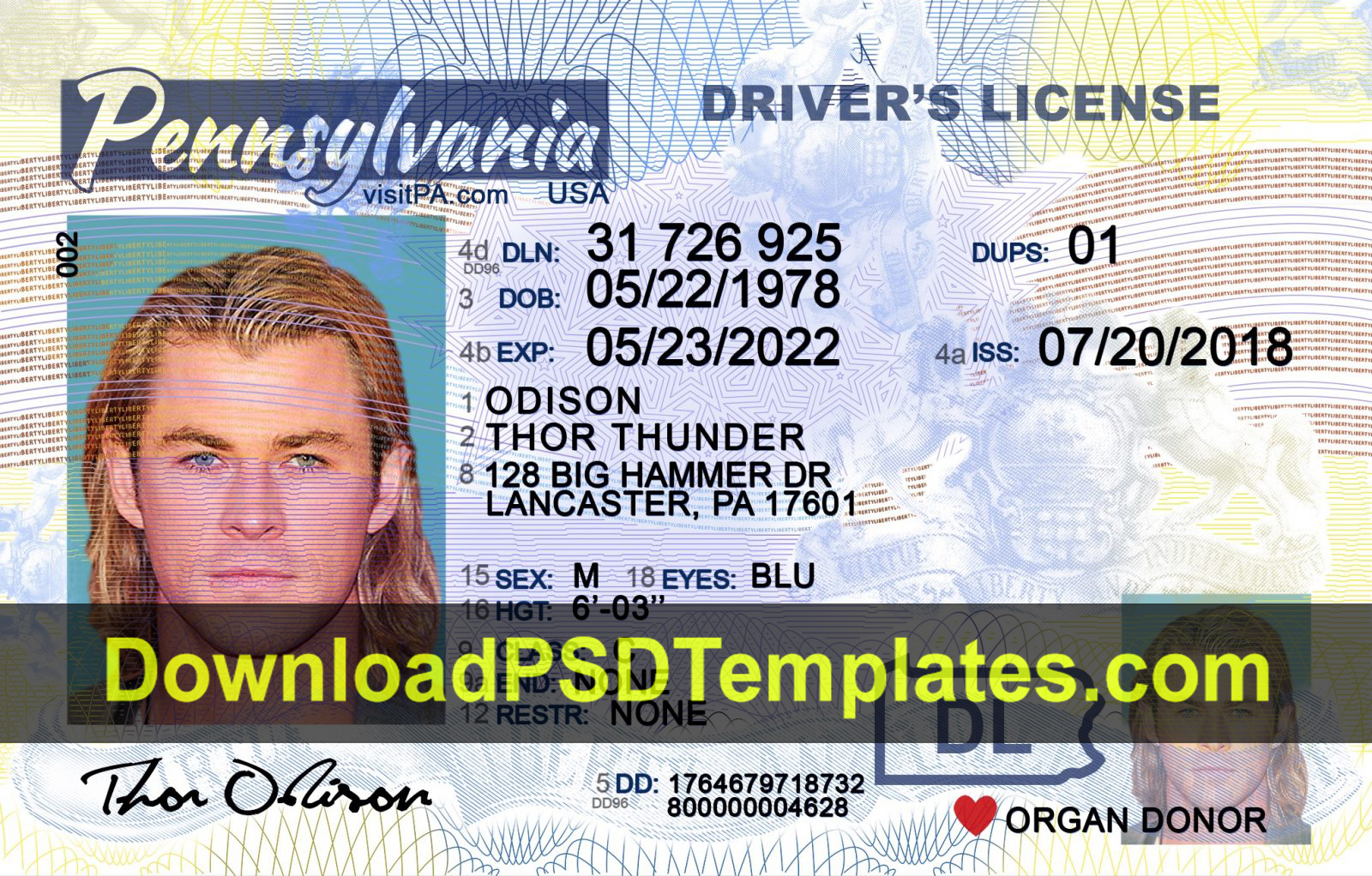 Pennsylvania Driver License Template Psd [New Pa Dl] Intended For Blank Drivers License Template